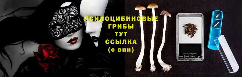 Псилоцибиновые грибы Psilocybine cubensis  Волжск 